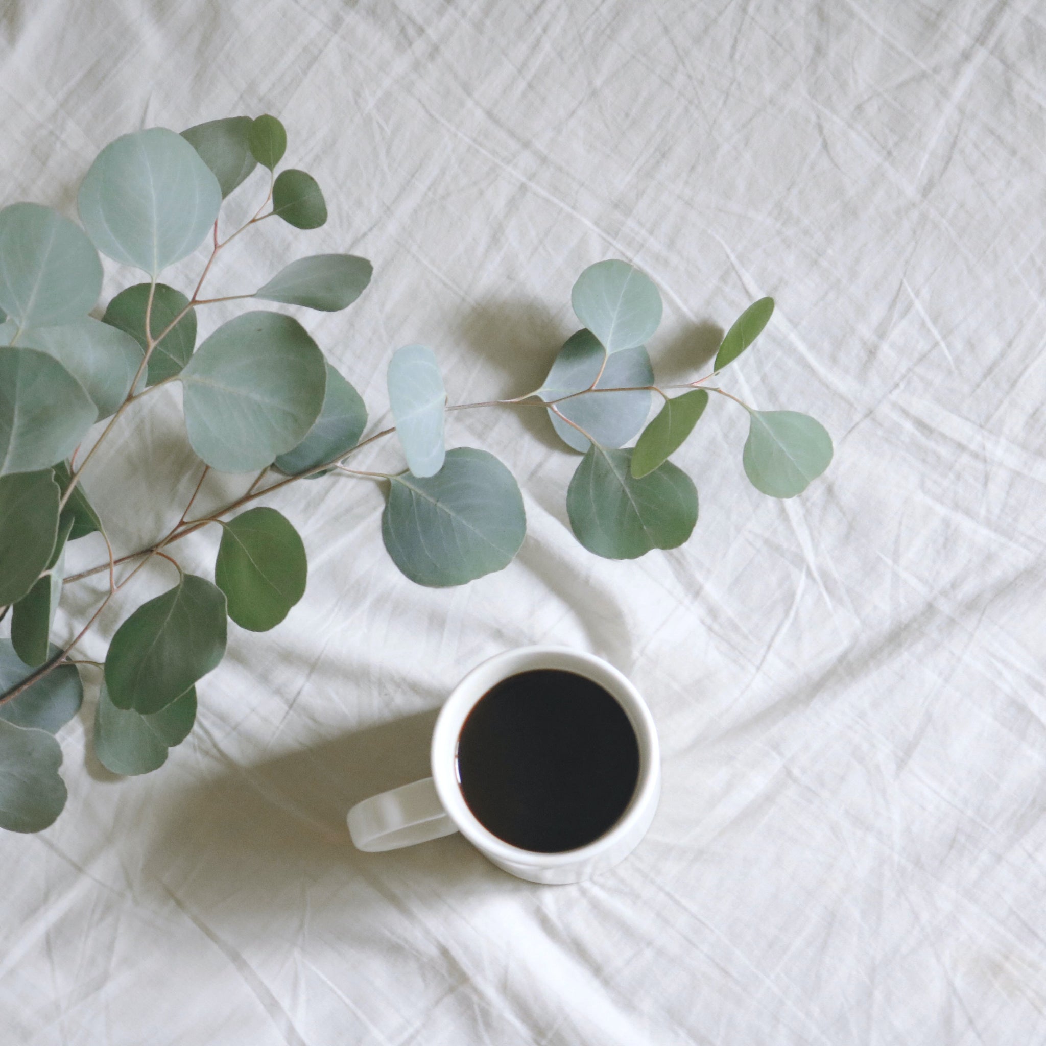 Why Linen is the Right Choice for You?